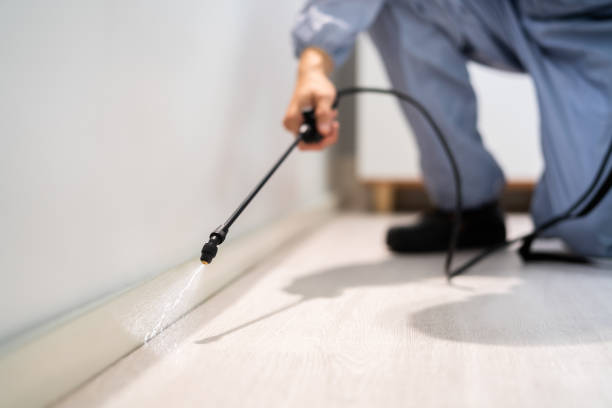 Certified termite inspector examining foundation in Agoura Hills